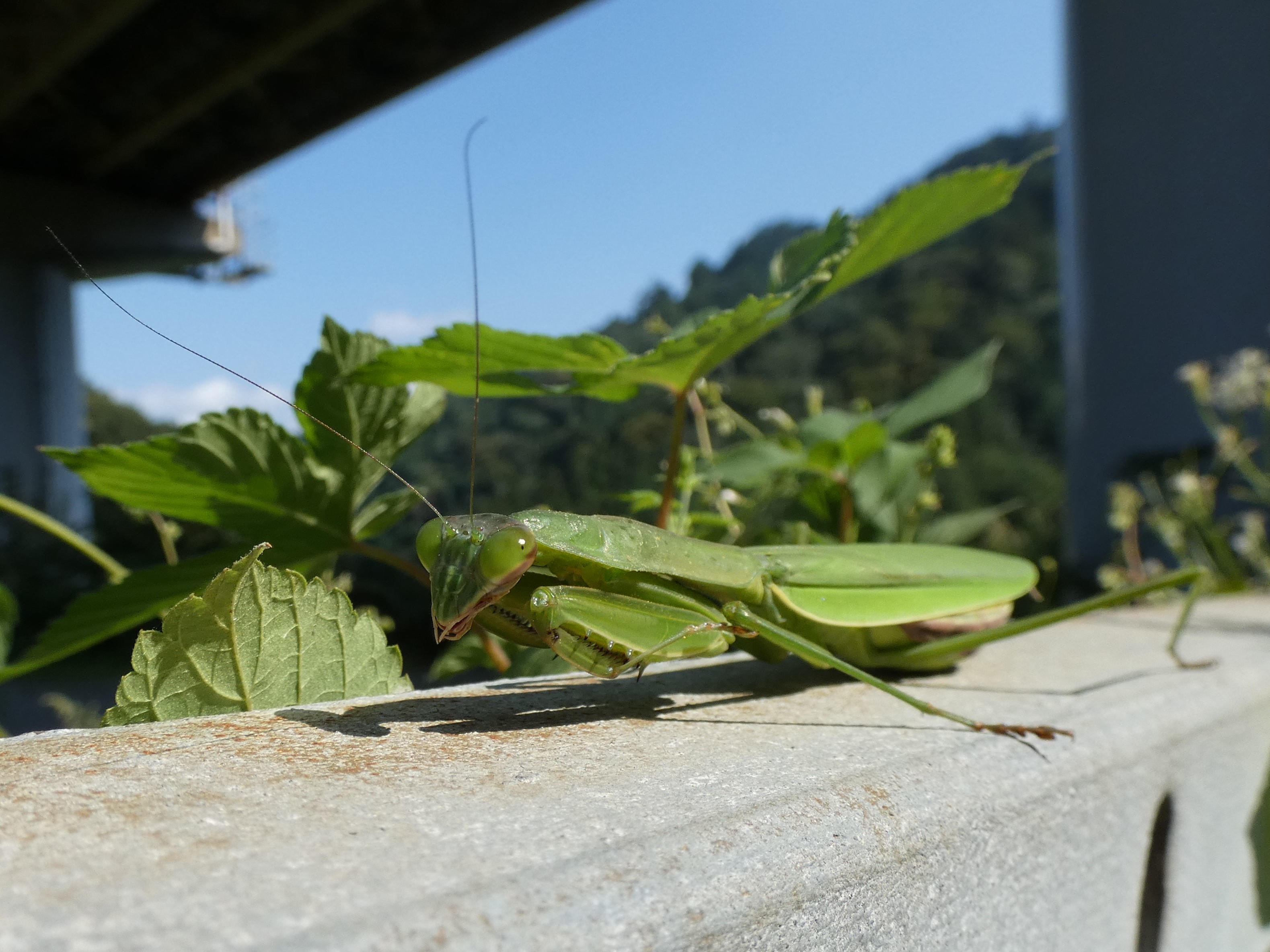 photo_7